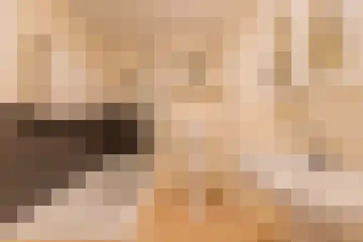 Veldhofstraat 4 Gorssel thumbnail 5