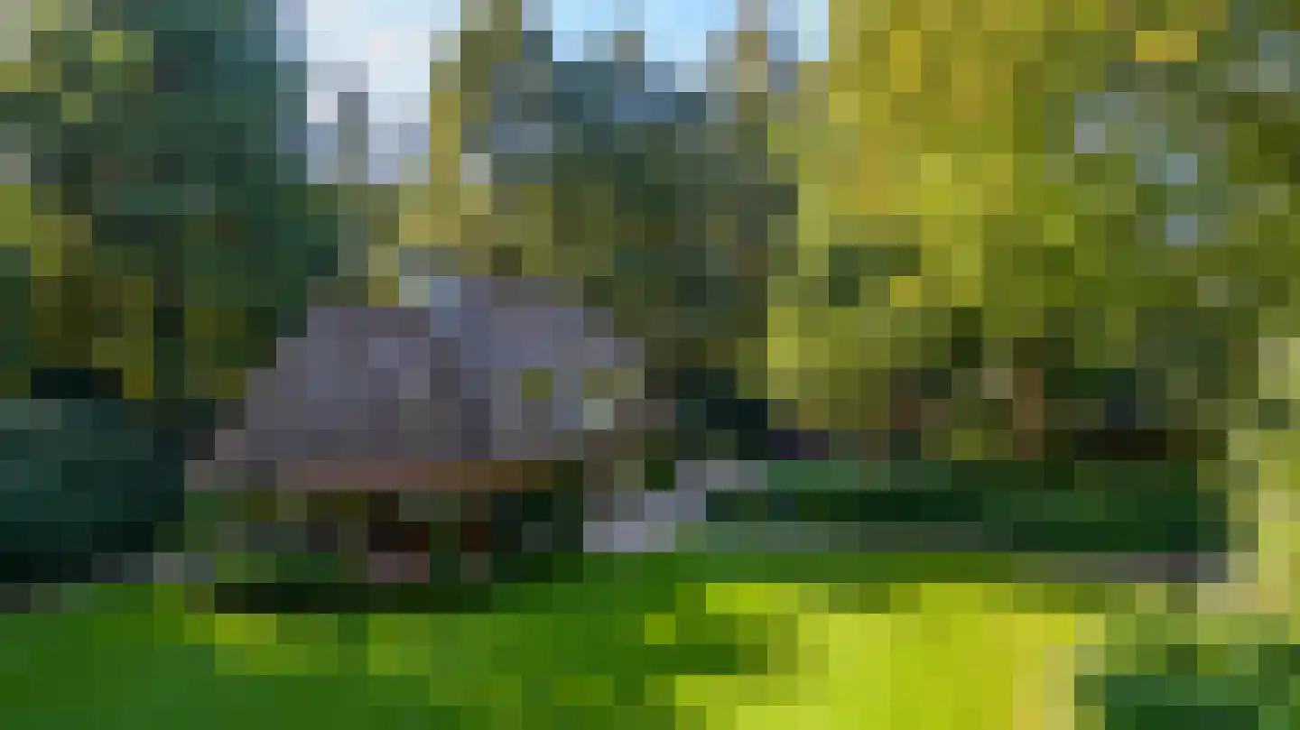 Veldhofweg 25 Beekbergen thumbnail 39
