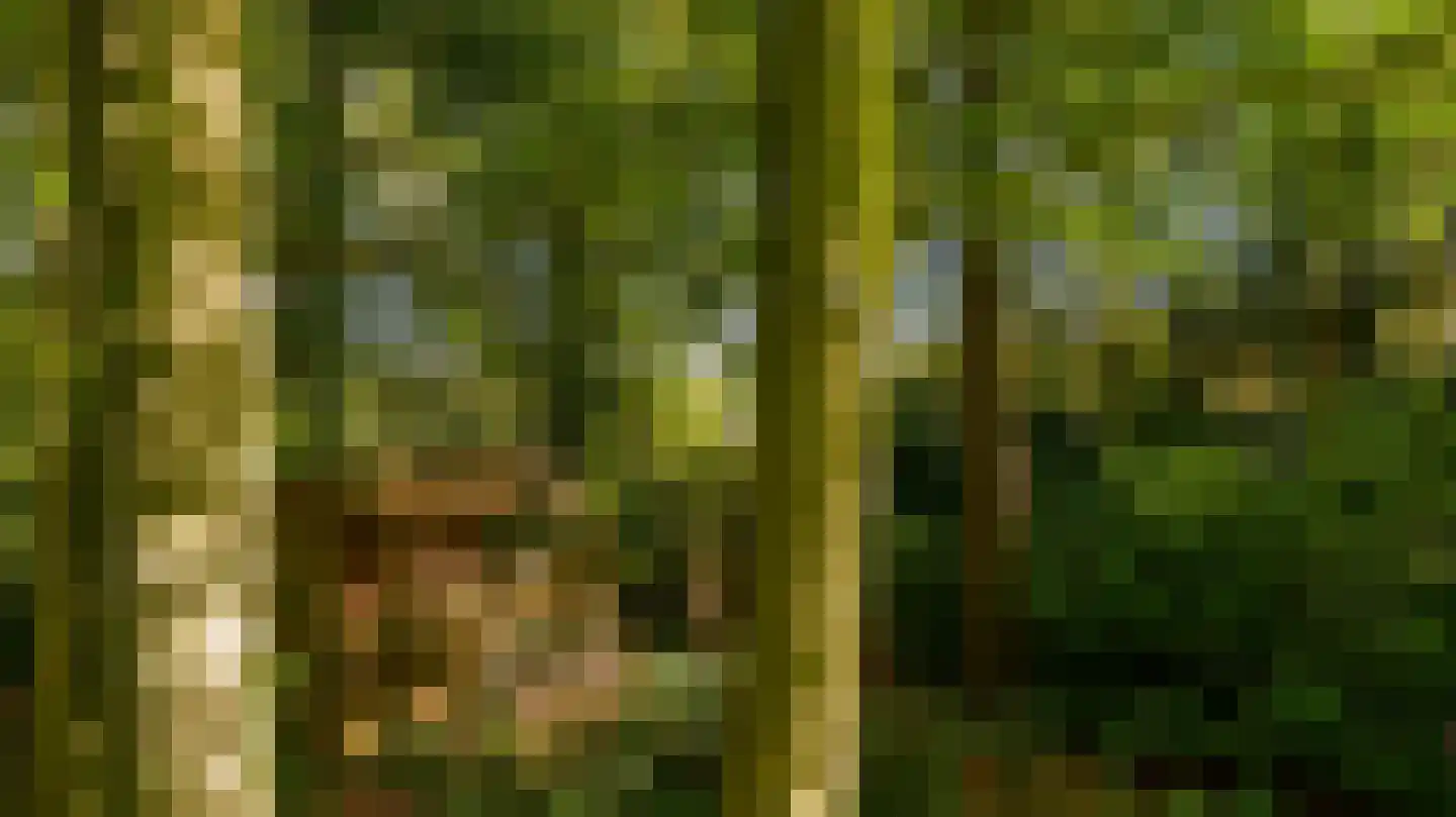 Veldhofweg 25 Beekbergen thumbnail 41