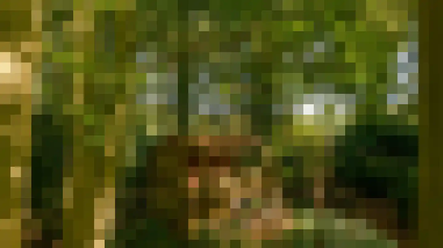 Veldhofweg 25 Beekbergen thumbnail 42