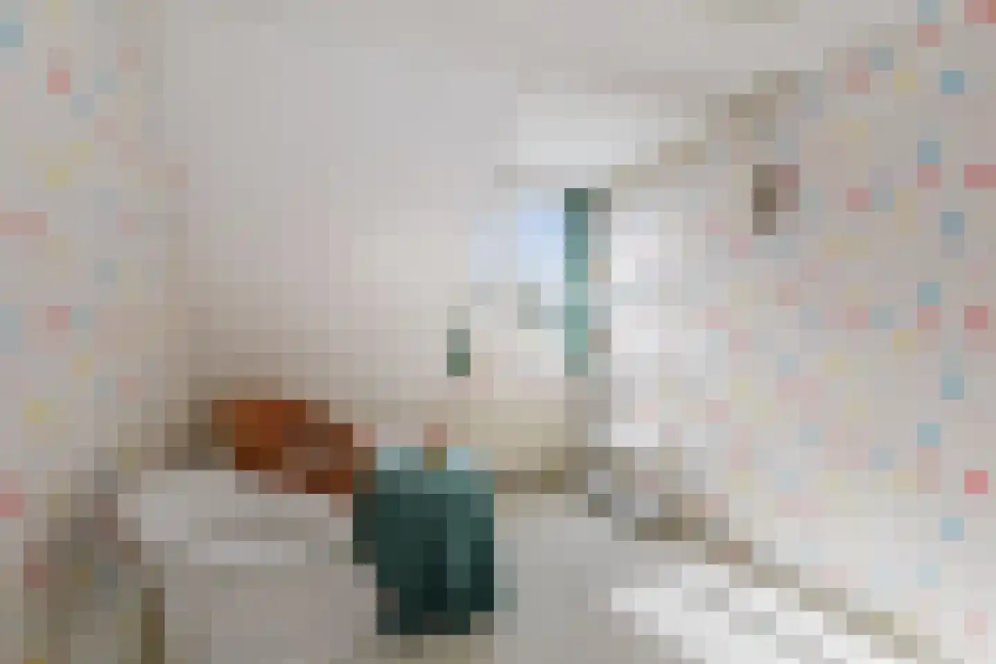 Veldhommel 29 Deventer thumbnail 13