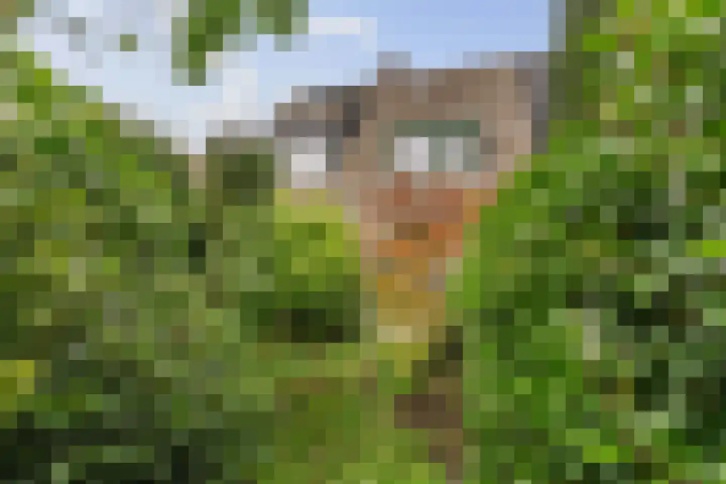 Veldhommel 29 Deventer thumbnail 30