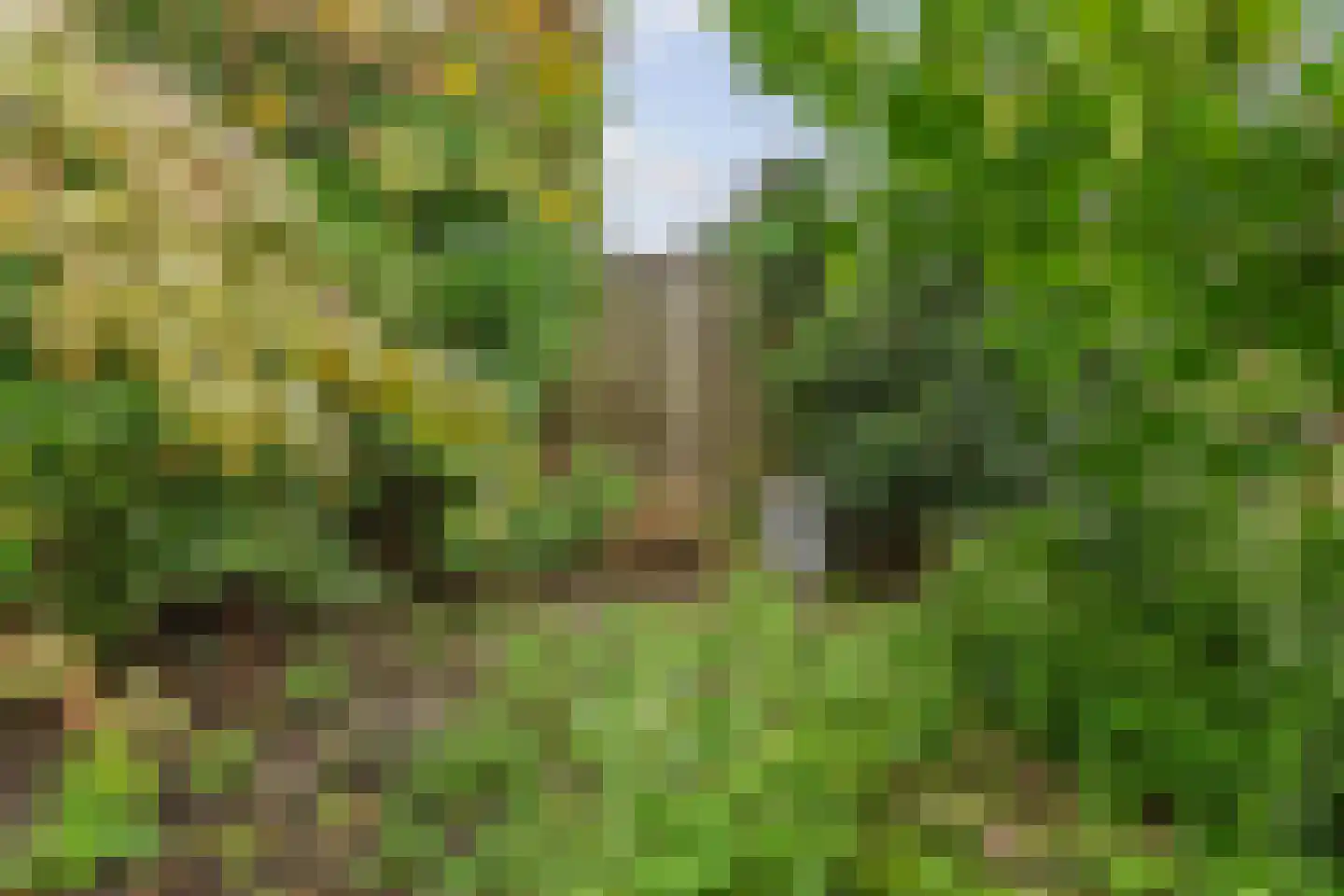 Veldhommel 29 Deventer thumbnail 31