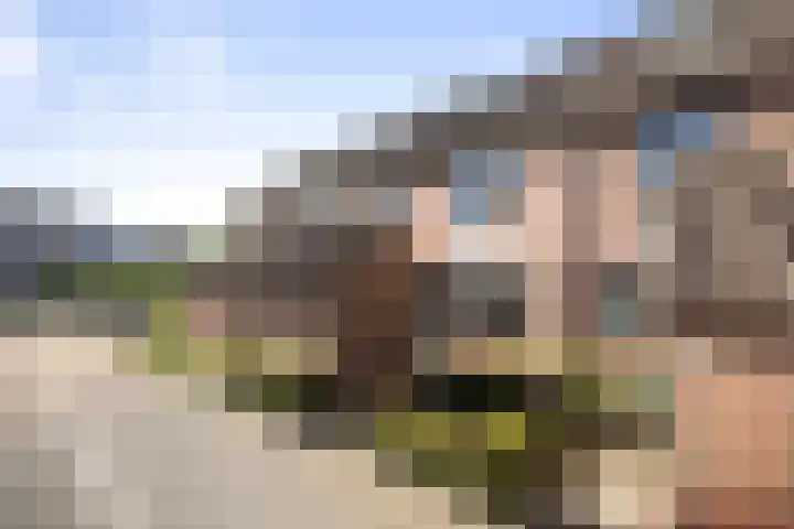 Veldhommel 51 in Deventer