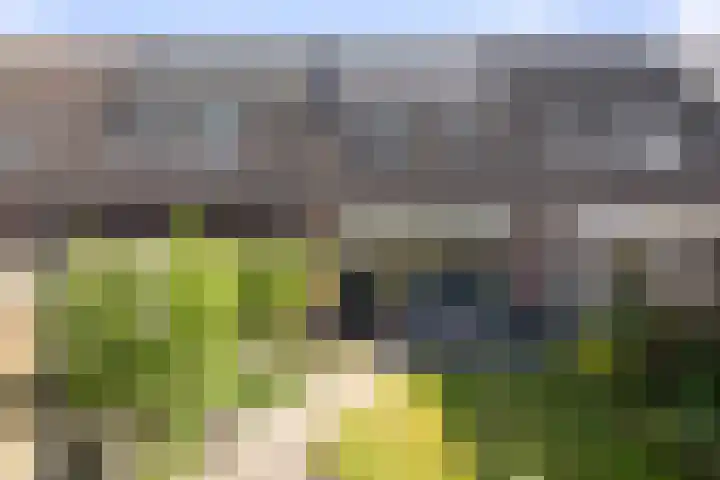 Veldhommel 51 Deventer thumbnail 19