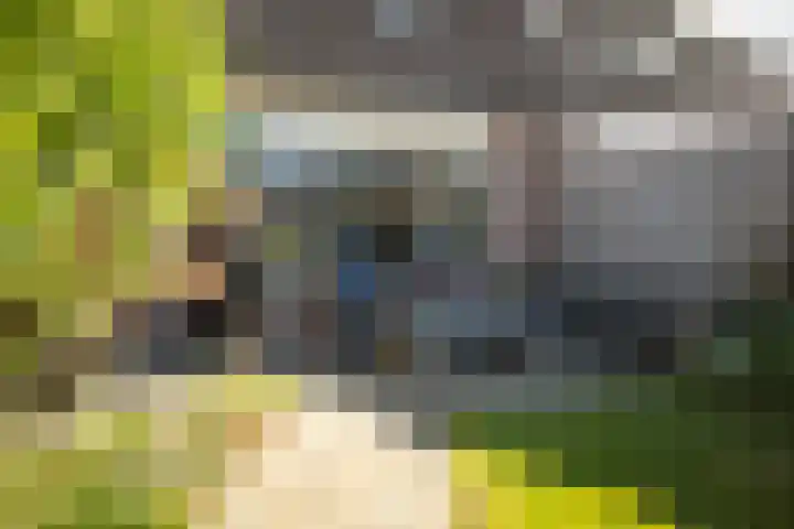 Veldhommel 51 Deventer thumbnail 20
