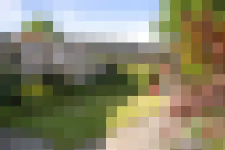 Veldhommel 51 Deventer thumbnail 21