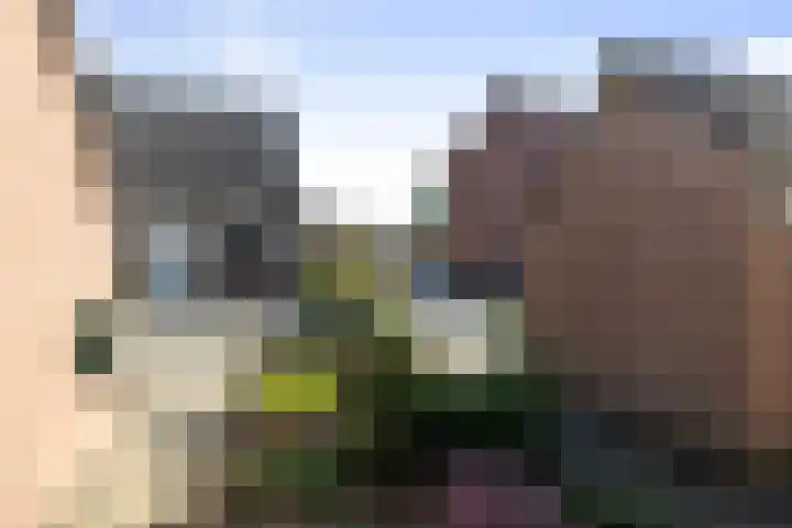Veldhommel 51 Deventer thumbnail 23