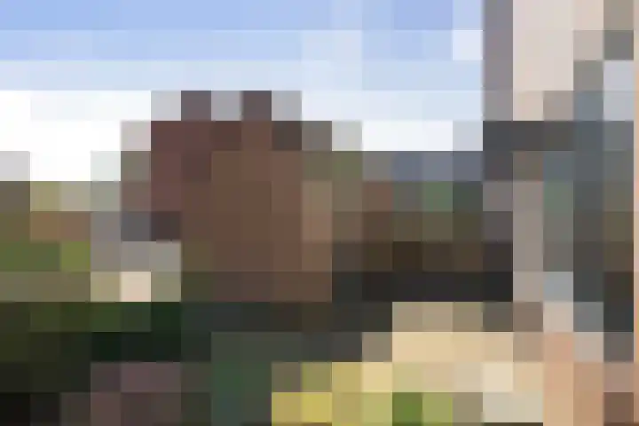 Veldhommel 51 Deventer thumbnail 24