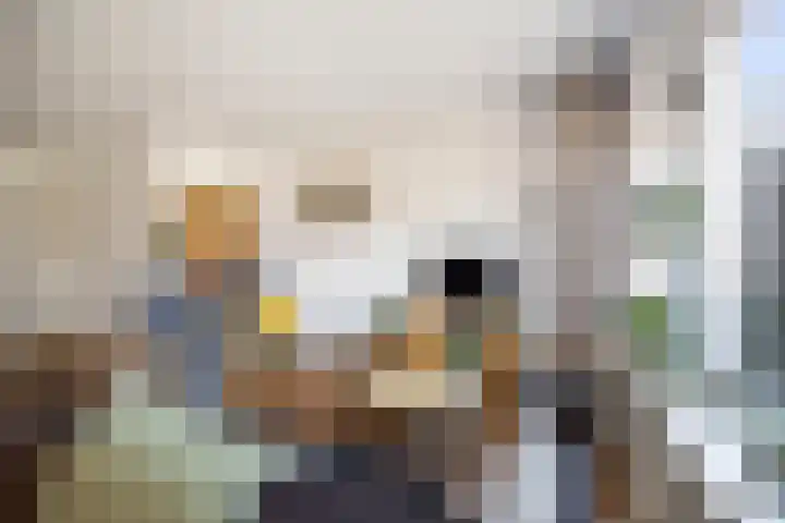 Veldhommel 51 Deventer thumbnail 4