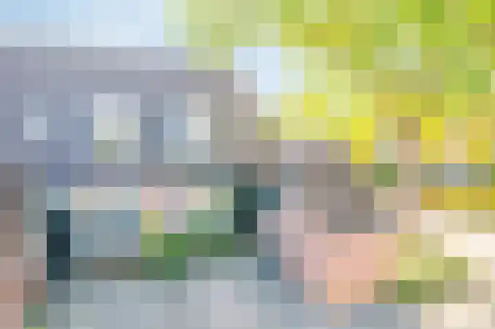 Veldhommel 67 Deventer