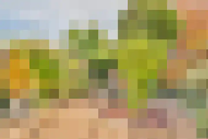 Veldhommel 67 Deventer thumbnail 22