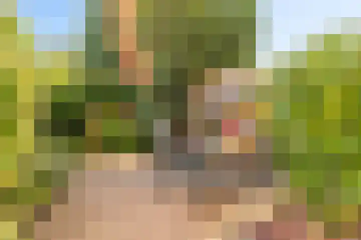 Veldhommel 67 Deventer thumbnail 23