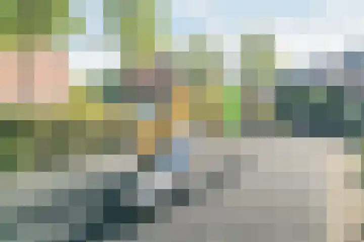 Veldhommel 67 Deventer thumbnail 25