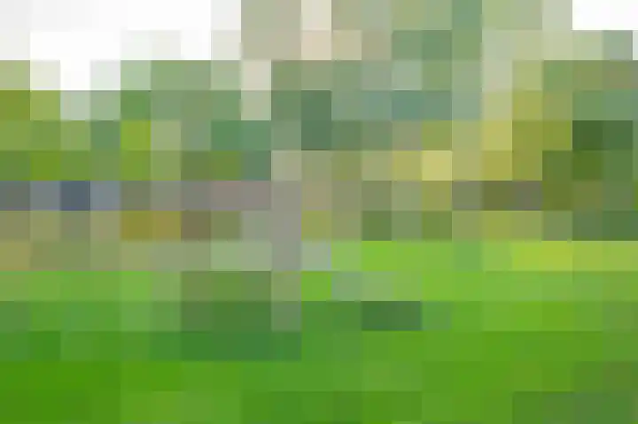 Veldhommel 67 Deventer thumbnail 26