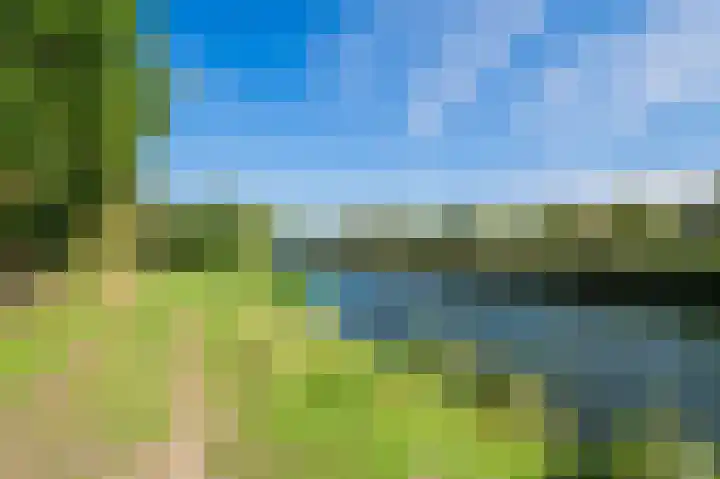 Veldhommel 67 Deventer thumbnail 27