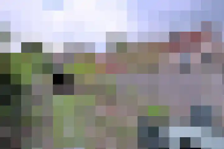 Veldhommel 72 Deventer thumbnail 29