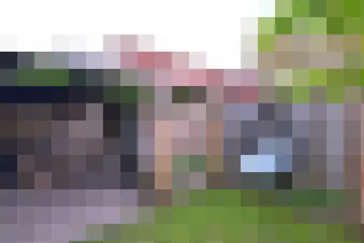 Veldhommel 72 Deventer thumbnail 30