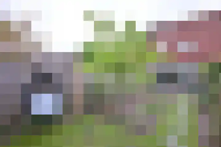 Veldhommel 72 Deventer thumbnail 33