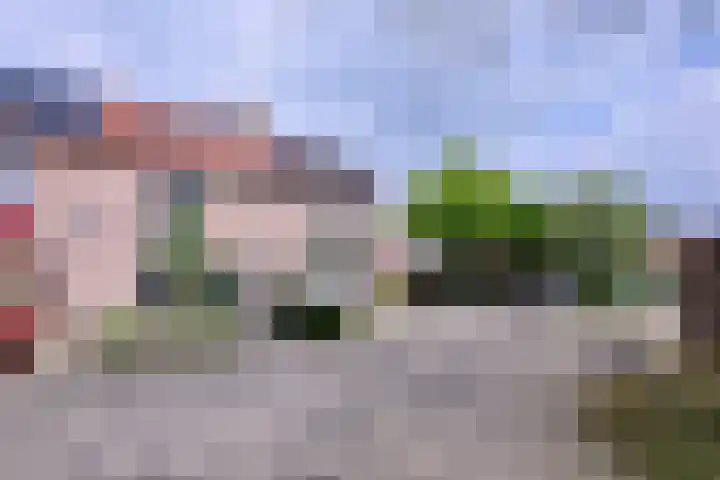 Veldhommel 72 Deventer thumbnail 36