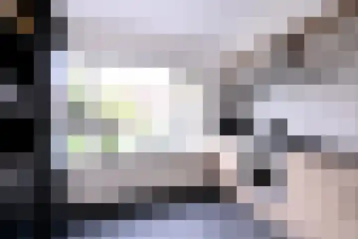 Veldhommel 72 Deventer thumbnail 6