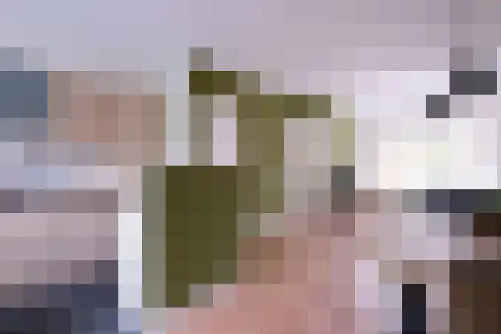 Veldhommel 72 Deventer thumbnail 8