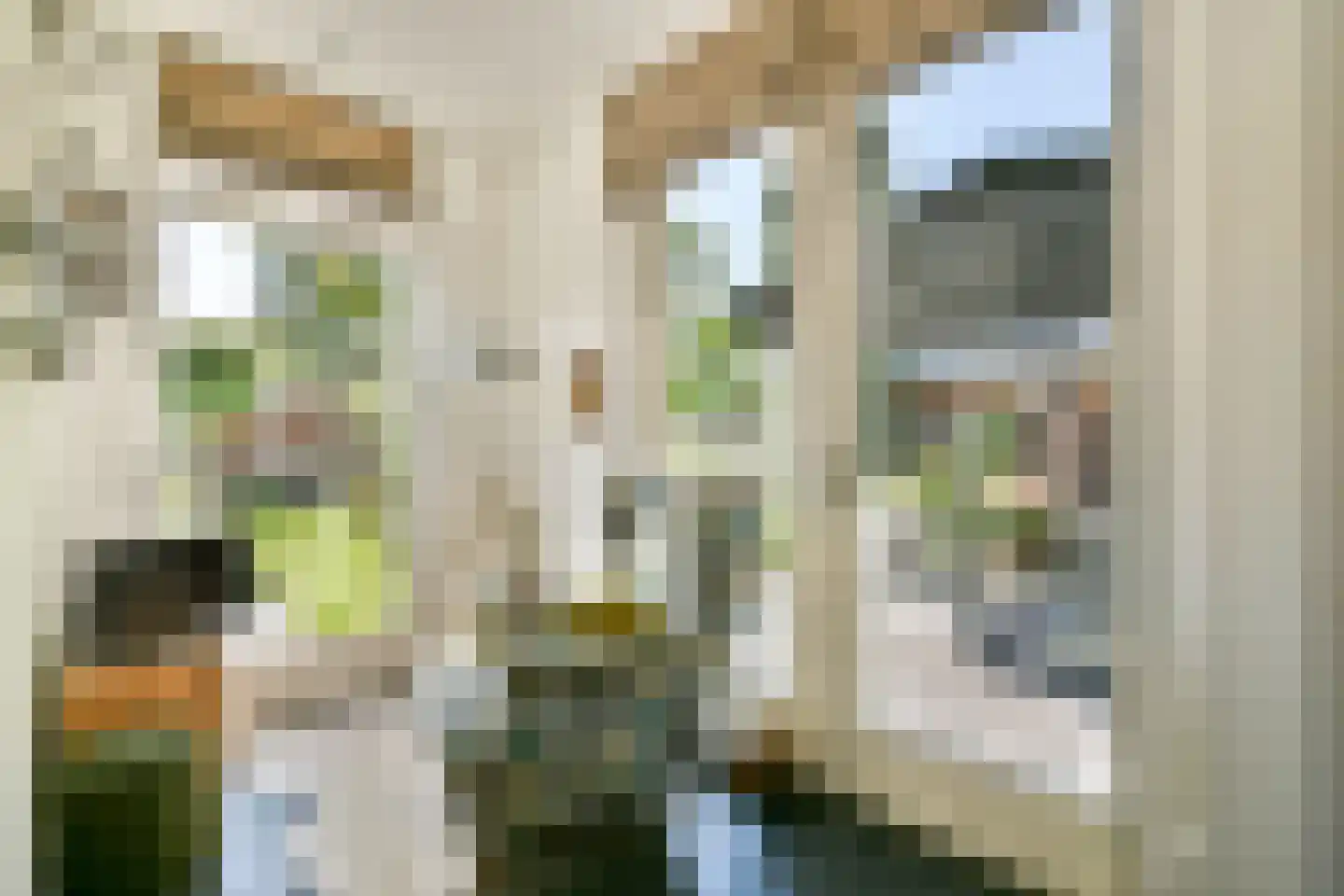Veldhorststraat 10 Lisse thumbnail 13