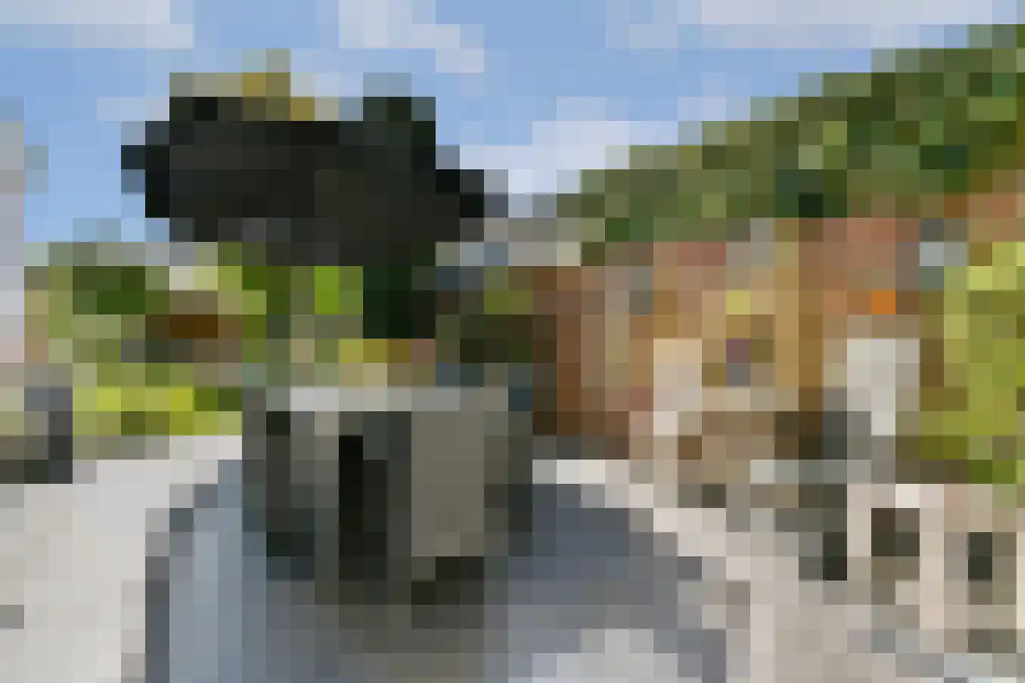Veldhorststraat 10 Lisse thumbnail 17
