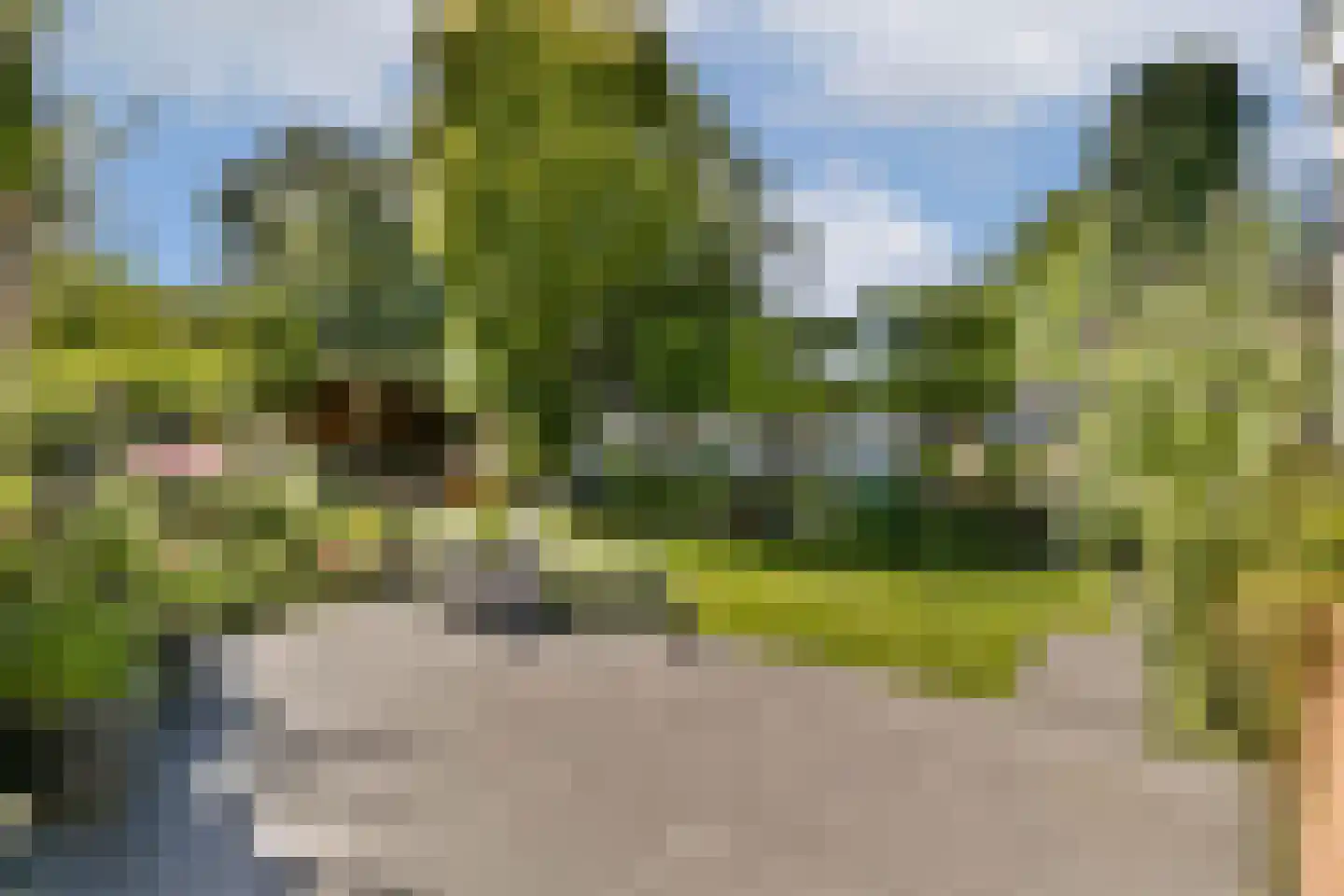 Veldhorststraat 10 Lisse thumbnail 19