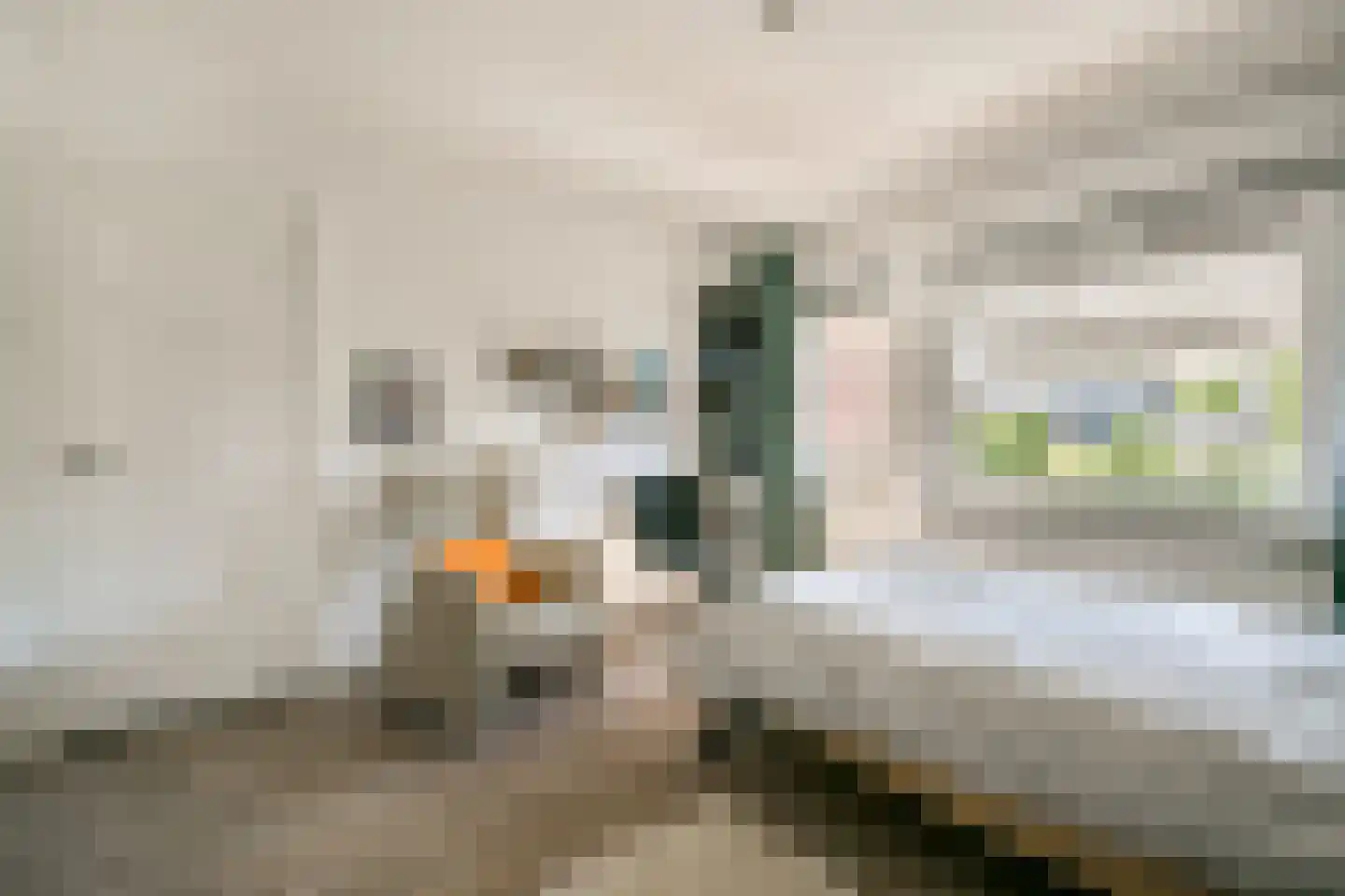 Veldhorststraat 10 Lisse thumbnail 28