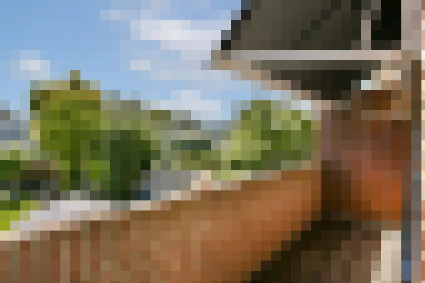 Veldhorststraat 10 Lisse thumbnail 30