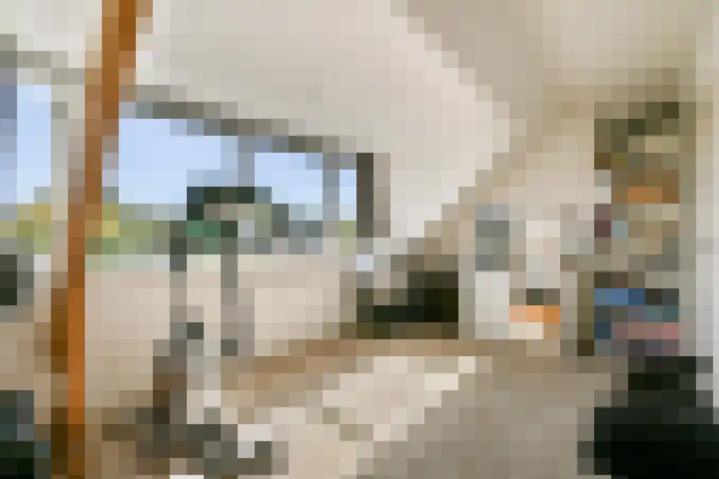 Veldhorststraat 10 Lisse thumbnail 38