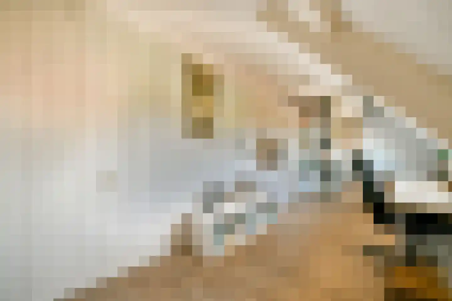 Veldhorststraat 10 Lisse thumbnail 39