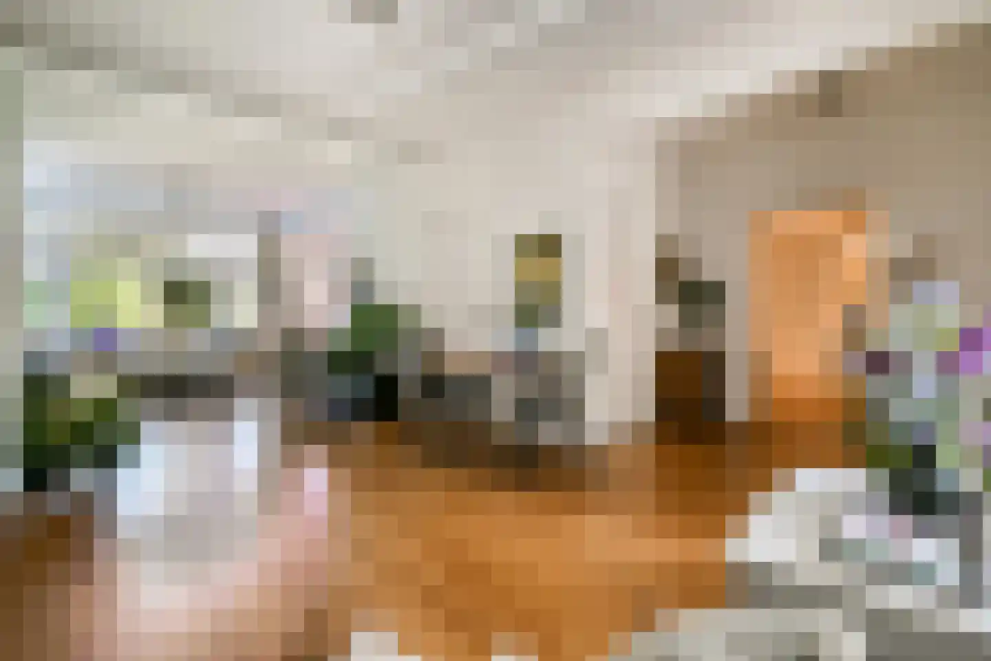 Veldhorststraat 10 Lisse thumbnail 4