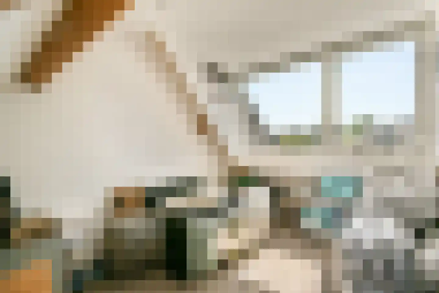 Veldhorststraat 10 Lisse thumbnail 40
