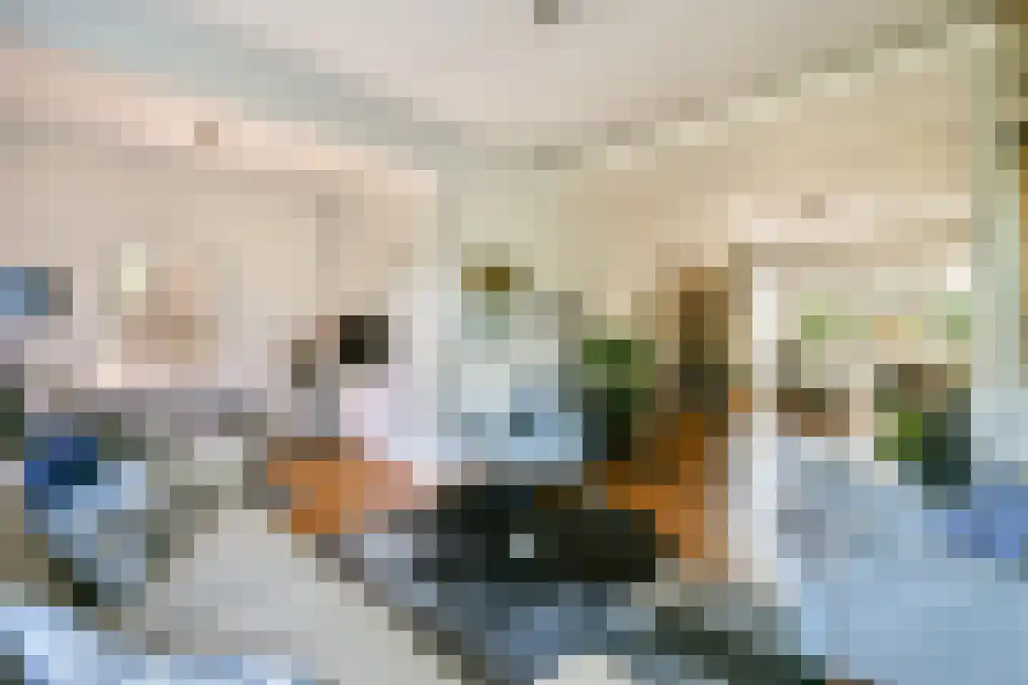 Veldhorststraat 10 Lisse thumbnail 5