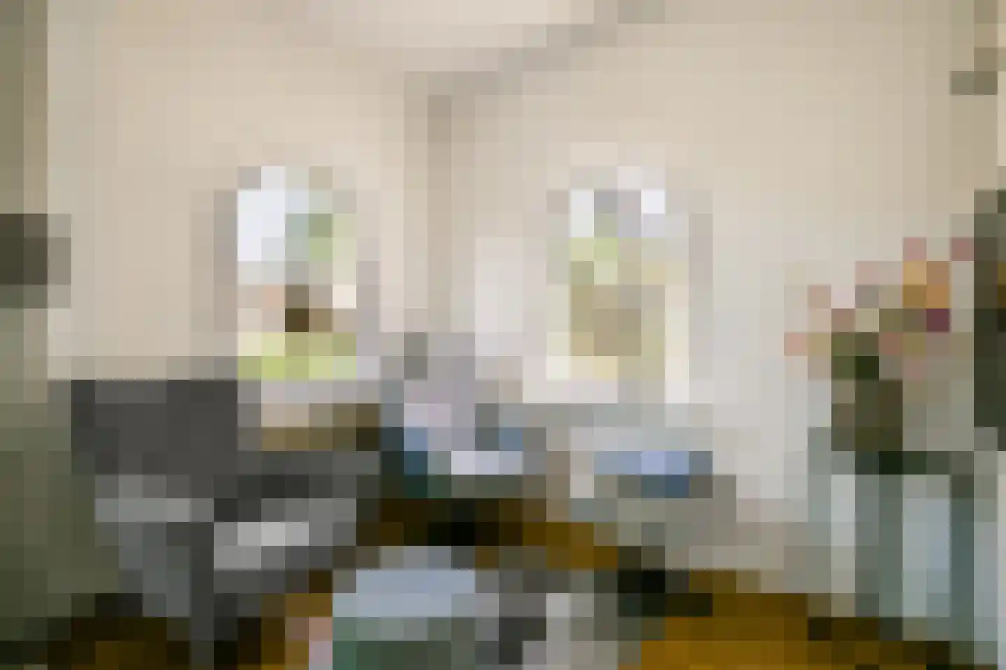Veldhorststraat 10 Lisse thumbnail 6