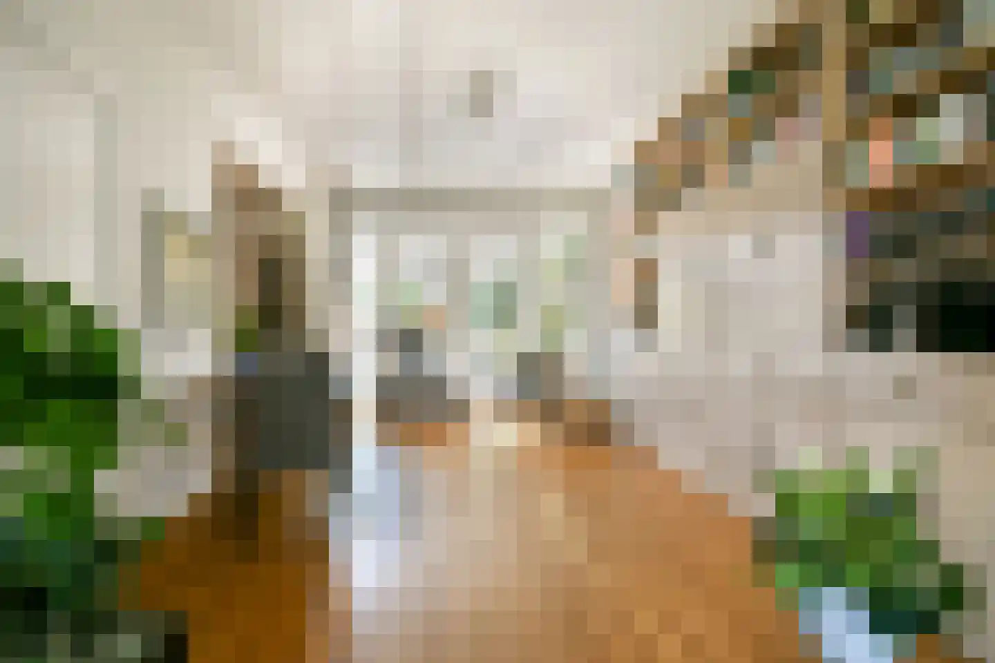 Veldhorststraat 10 Lisse thumbnail 8