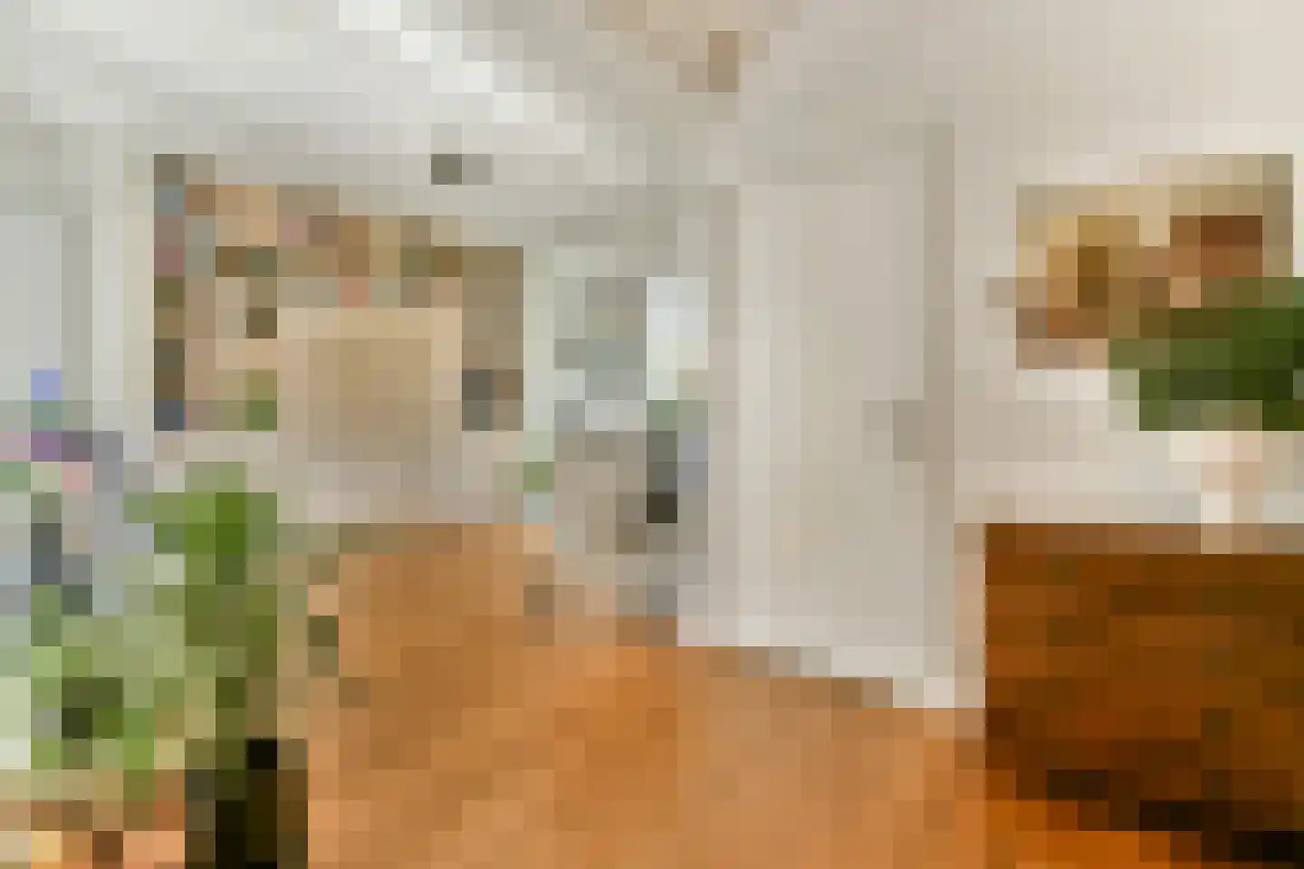 Veldhorststraat 10 Lisse thumbnail 9