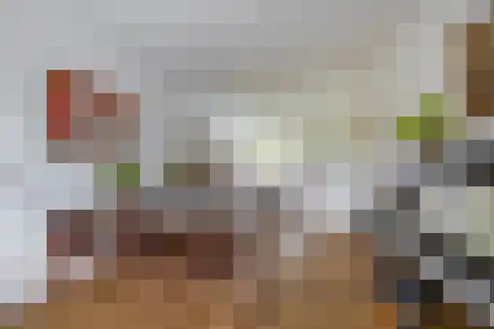 Veldhorststraat 12 Lisse thumbnail 10