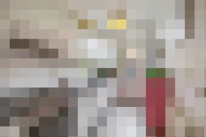 Veldhorststraat 12 Lisse thumbnail 12
