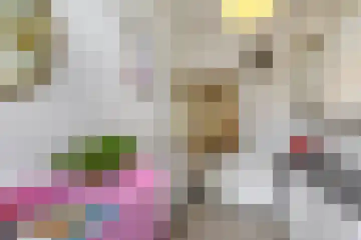 Veldhorststraat 12 Lisse thumbnail 13