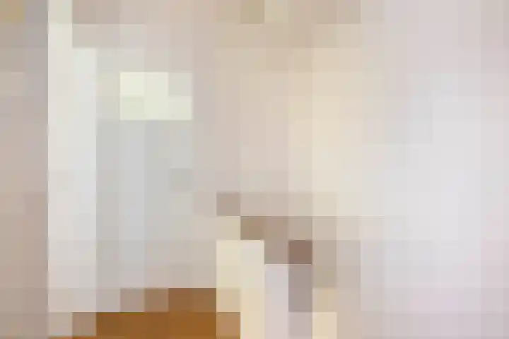 Veldhorststraat 12 Lisse thumbnail 21