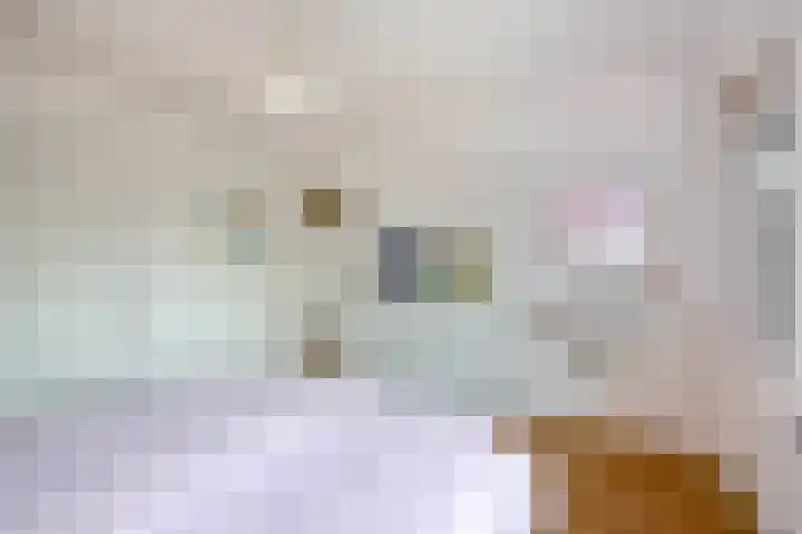 Veldhorststraat 12 Lisse thumbnail 25