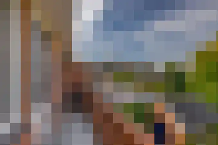 Veldhorststraat 12 Lisse thumbnail 27