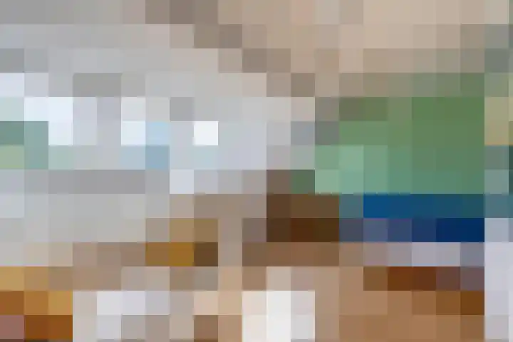 Veldhorststraat 12 Lisse thumbnail 35
