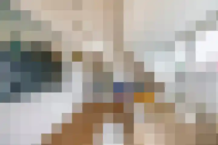 Veldhorststraat 12 Lisse thumbnail 36