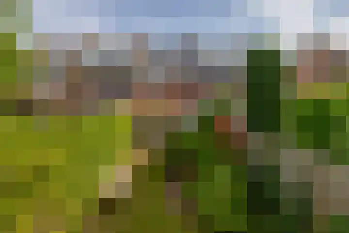 Veldhorststraat 12 Lisse thumbnail 37