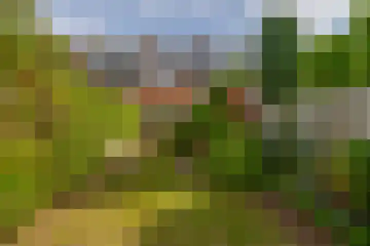Veldhorststraat 12 Lisse thumbnail 38