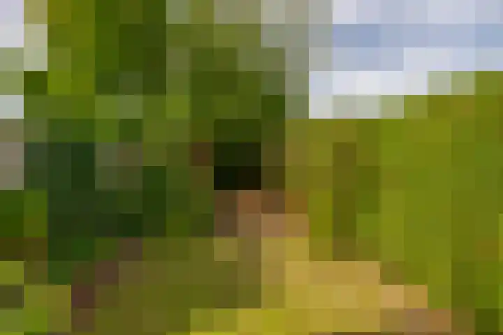 Veldhorststraat 12 Lisse thumbnail 39